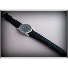 TIMEMASTER EVERSPORT 175/11
